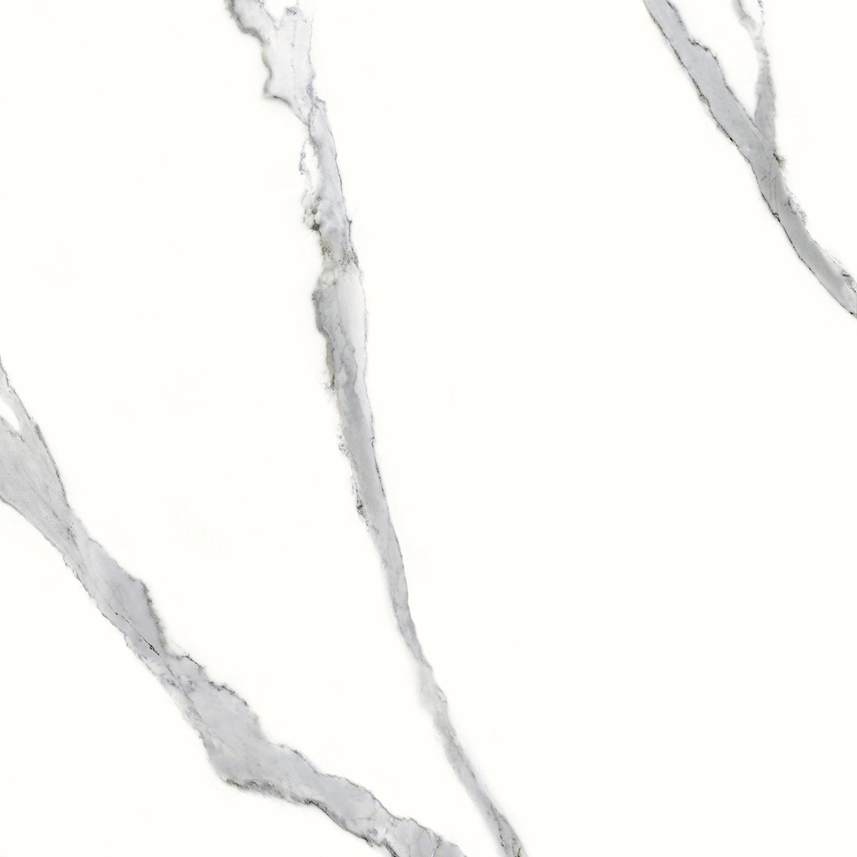 Ava ceramica Marmi Statuario Splendente 60x60 cm